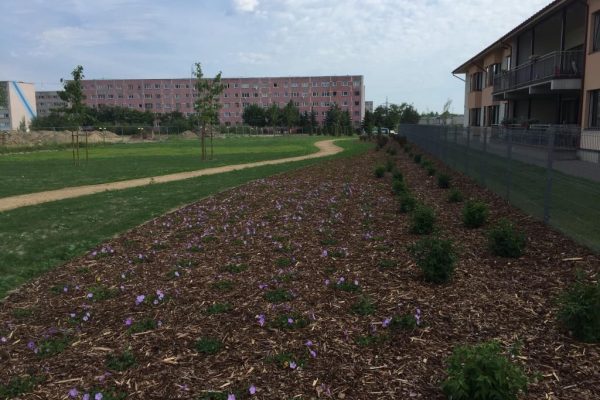 Daumanni park